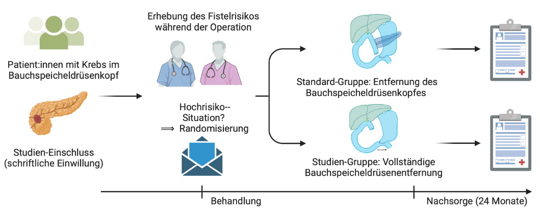 Procedure of the study