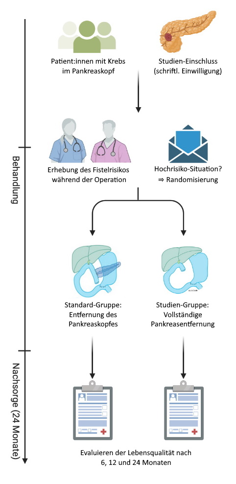 Procedure of the study